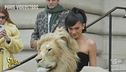 Le trasparenze di Jennifer Lopez, Kylie Jenner e la testa di leone