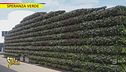 Luca Sardella e il segreto per un giardino perfetto