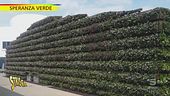 Luca Sardella e il segreto per un giardino perfetto