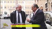 Il Vespone punge sulla sentenza Ruby ter e sulle elezioni
