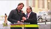 Vespone non si è ancora ripreso dal duello Meloni-Schlein