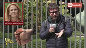 Il (non) conflitto di interessi di Monica Maggioni direttrice Tg1