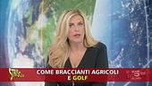 Segnalazioni TV: nei Tg una Vendemmia di errori