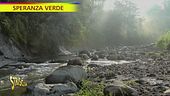 Tutti i segreti dell'aridocoltura, coltivare con poca acqua