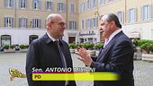 Vespone indaga sulle SS di La Russa e i tulipani di Berlusconi