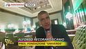 Aggressione a Ghione: finalmente un politico denuncia, ma è un"ex"ministro