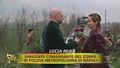 Carcasse d'auto abbandonate: così le rubano, svuotano, bruciano