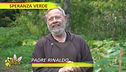 "Speranza verde" nell'orto del convento di Padre Pio