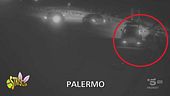 Campioni di inciviltà e di lancio di spazzatura in autostrada