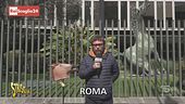 Misteri Rai: la sigla del TGR l'ha scritta un dipendente