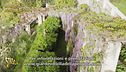 Glicini di Villa della Pergola, ecco la stagione della fioritura