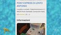 Consegne veloci con il pony express Antonio Lento