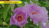 "Speranza verde" nell'Orto botanico del Gianicolo a Roma
