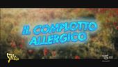 "Il complotto allergico", cosa c'è dietro il polline di primavera?
