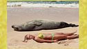 Gerry e Michelle in spiaggia