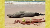 Gerry e Michelle in spiaggia
