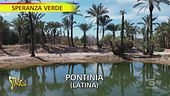 A Pontinia il giardino con le piante di cinque continenti