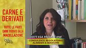 Etichette dei cibi per animali: istruzioni per l'uso