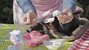 Cinque idee per usare lo yogurt scaduto, dai capelli alle piante