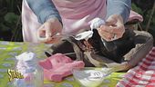 Cinque idee per usare lo yogurt scaduto, dai capelli alle piante
