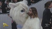 Jared Leto vestito da gatto per ricordare Karl Lagerfeld