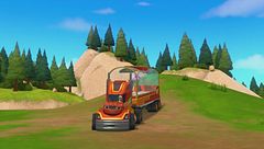 In viaggio col delfino