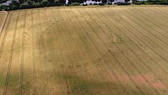 Ep. 1 - Scoperte inaspettate