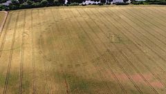 Ep. 1 - Scoperte inaspettate