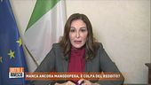 Reddito di cittadinanza e occupazione, l'opinione di Daniela Santanchè
