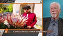 La morte di Lilly: parla il marito Sebastiano