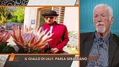 La morte di Lilly: parla il marito Sebastiano