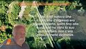 La morte di Silvia Cipriani: i gialli nel racconto di Leonino