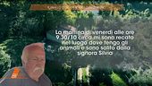Silvia Cipriani: il ruolo di Leonino