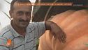 Saman Abbas: chi sono i complici del padre?