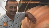 Saman Abbas: chi sono i complici del padre?