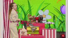 Zoe Tomas: l'addestratrice di polli