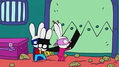 Lascia stare il gatto!