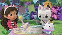 Il compleanno di Pandy