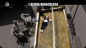 DE GIUSEPPE: L'acqua miracolosa di Ivo Pignatti.