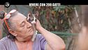 RUGGERI: La vita di Paola con duecento gatti