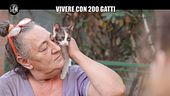 RUGGERI: La vita di Paola con duecento gatti
