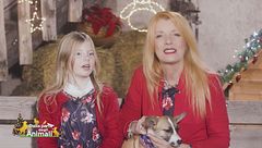 Puntata del 25 dicembre