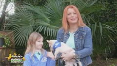 Puntata del 29 gennaio