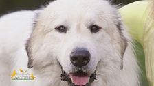 Zeus e Martina