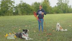 Impariamo divertendoci