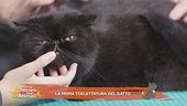 I consigli degli esperti