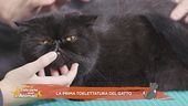 I consigli degli esperti