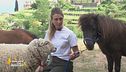 La pet therapy secondo Malvina
