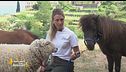 La pet therapy secondo Malvina