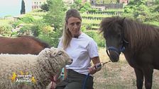 La pet therapy secondo Malvina